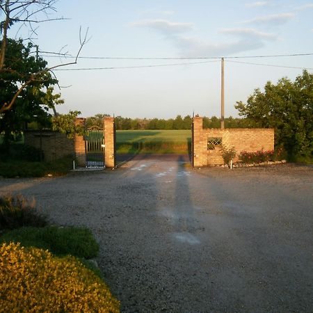Agriturismo La Cascinetta Pieve di Cento Εξωτερικό φωτογραφία